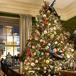 Holiday Issue: Tory’s Christmas Tree