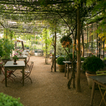 Spotlight On: England’s Petersham Nurseries