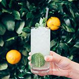 London Issue: Party Recipe, Elderflower & Mint Collins