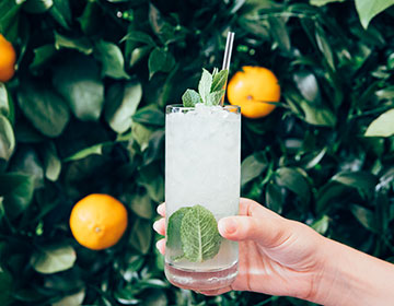 London Issue: Party Recipe, Elderflower & Mint Collins