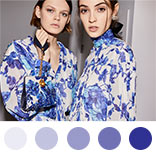 Trend Report: Blue & White