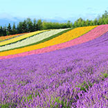 To Visit: Japan’s Hokkaido Island