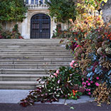 Spotlight On: Fall Florals at the Royal Wedding