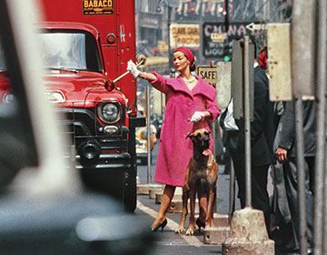 Focus On: William Klein