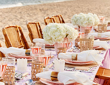 Sunset Dinner with Ally Lewis in Amagansett