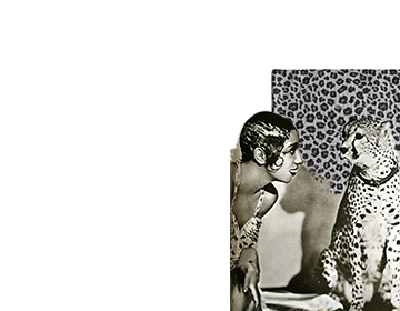 Wild for Leopard