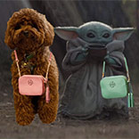 Chicken v. Baby Yoda: Who Wore It Best?