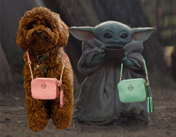 Chicken v. Baby Yoda: Who Wore It Best?