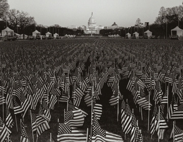 A Glorious Field of Flags