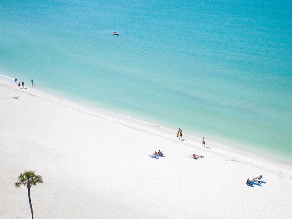 Meet the Artist: Juliette Charvet