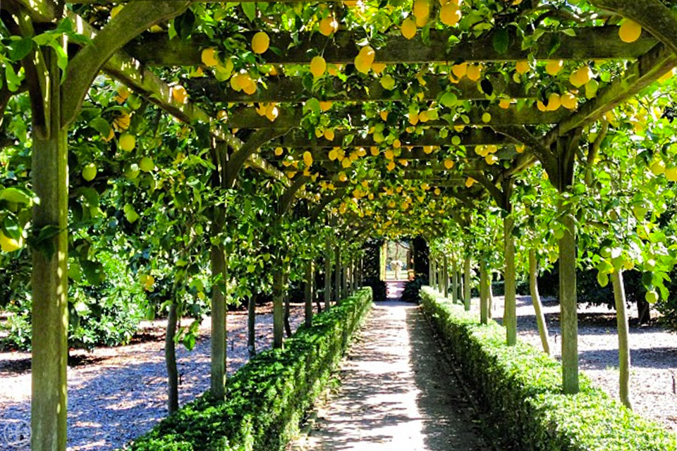 Top 10: Best Gardens Around the World