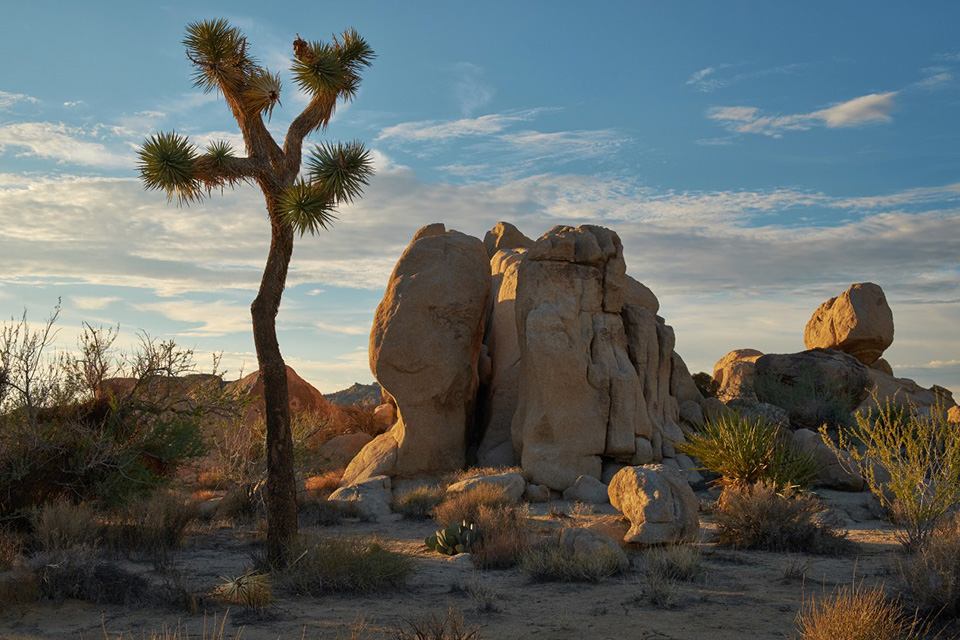 Top 10: Best Gardens Around the World