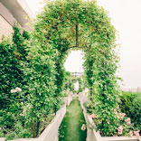 Claude Wasserstein On: Rooftop Gardening