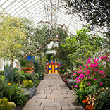 To Do: Frida Kahlo at the New York Botanical Garden