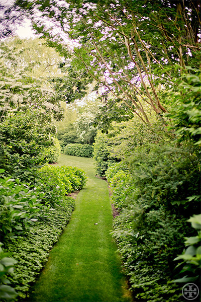 Spotlight on: Tory's Garden slide2