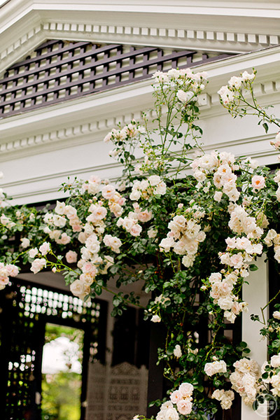 Spotlight on: Tory's Garden slide3