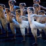 To Do: Matthew Bourne’s Swan Lake