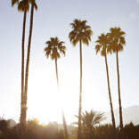 Tory’s Playlist: L.A. Getaway