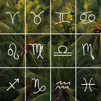 What’s Your Sign? Taurus